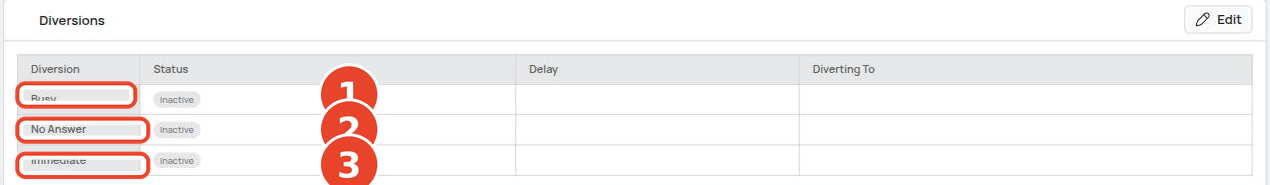 The Diversions panel showing Busy, No Answer and Immediate diversion types with status, delay and destination